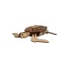 Bouwpakket Houten Schildpad